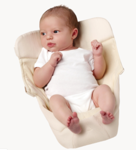 エルゴインサート