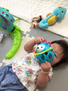 トイサブ!で3か月に届いたおもちゃ