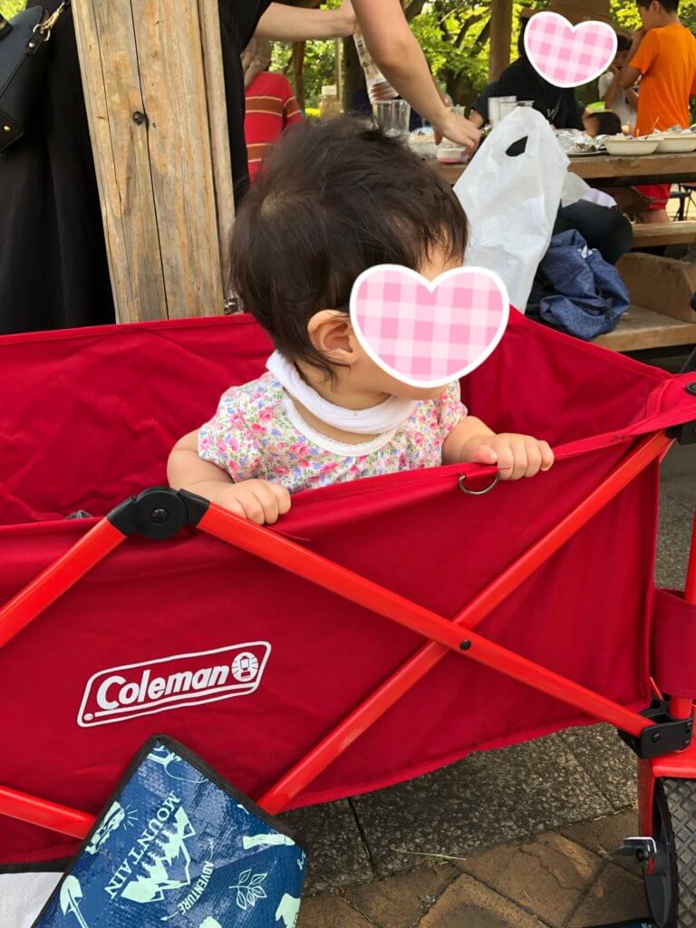 富士公園のバーベキュー