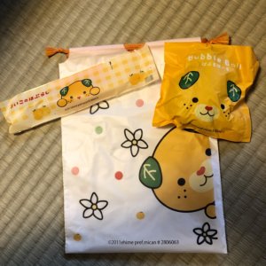 定山渓温泉花もみじに一歳の子連れで宿泊したレビュー